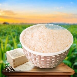 euro gold rice